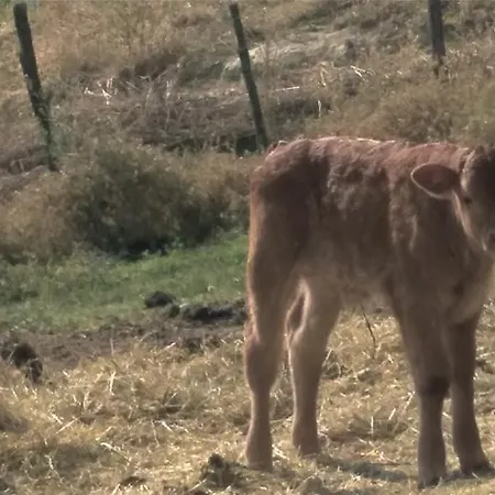 Séjour à la ferme Mandrioli *