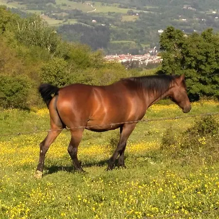 Mandrioli